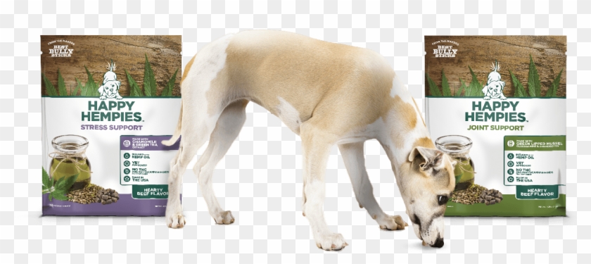 Next - Happy Hempies Clipart