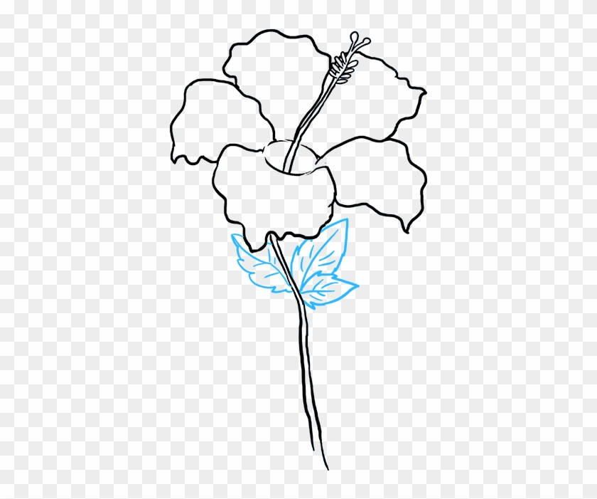 Hibiscus Flower Drawing - Hibiscus Flower Drawing Easy Clipart