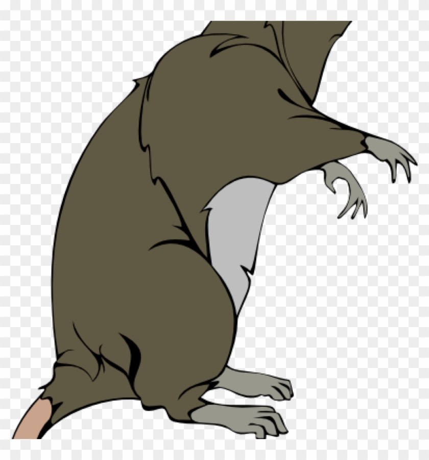 Rat Clipart Rat Clip Art Free Clipart Panda Free Clipart - Free Clipart Rat Transparent - Png Download
