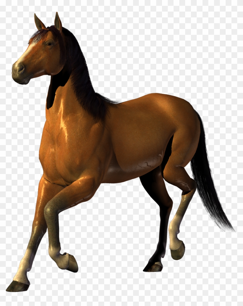 Transparent Background Horse Png Clipart #1329722