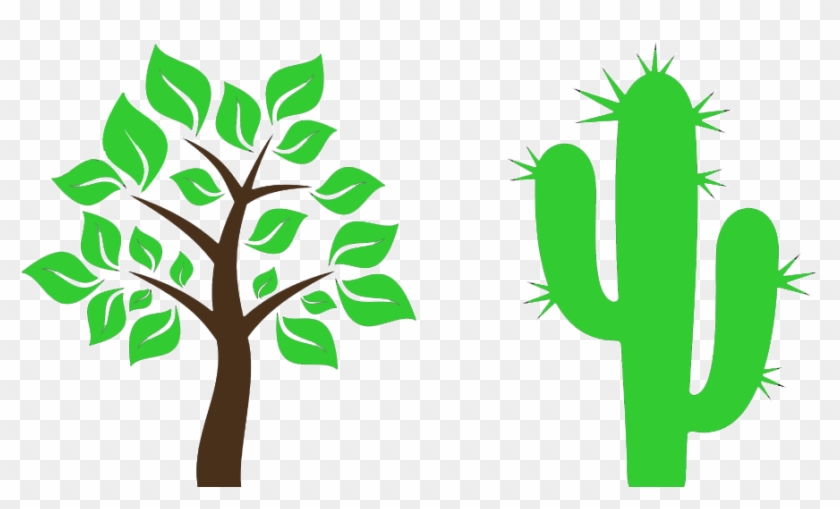 Cactus Clipart Tree - School Of English - Png Download #1329751