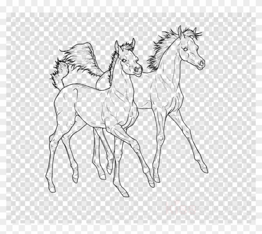 Arabian Horse Clipart Foal Pony Mustang - Chibi Ryuk - Png Download #1329773
