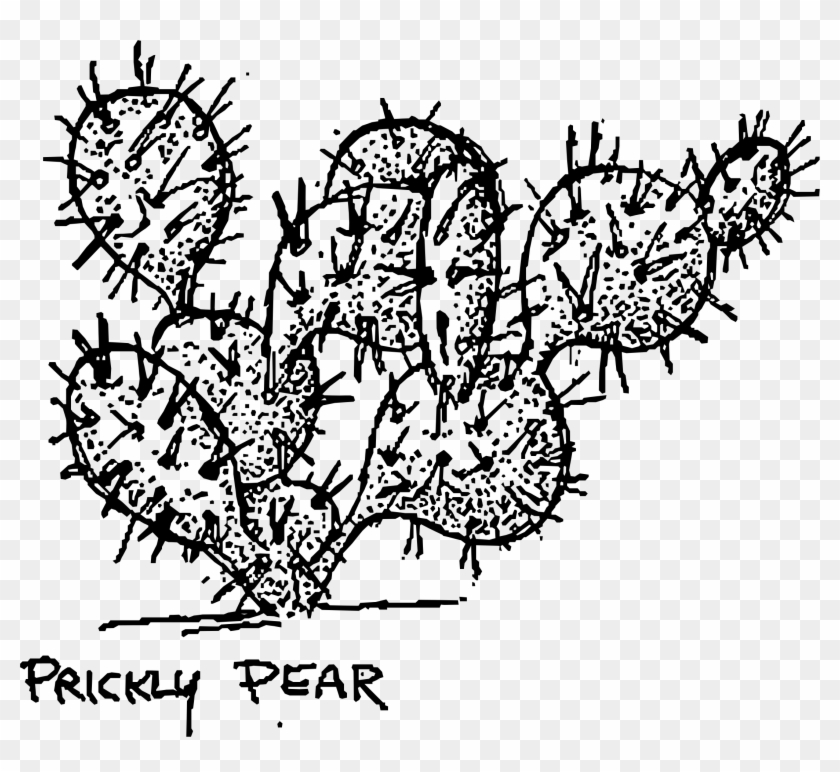 Clipart Big Image Png - Prickly Pear Cactus Clipart Transparent Png