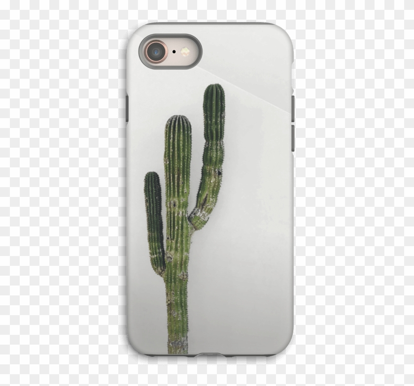 Weberocereus Clipart #1330715