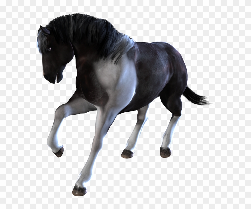 Home / Poser And Daz Studio Content / Horses / Daz - Transparent Horses Png Animated Clipart