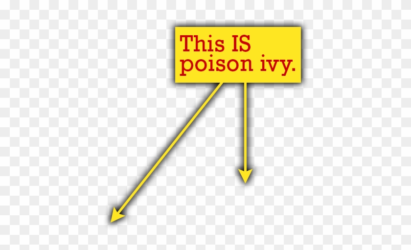 The Poison Ivy Does Not Have The Symmetry Of The Other - Black Pine Catering Clipart #1331092