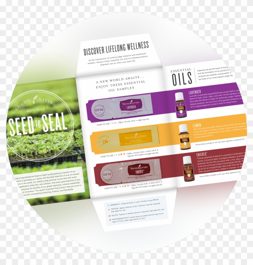 Young Living Essential Oils - Label Clipart