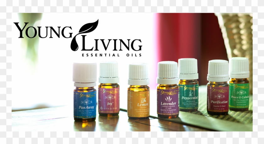 Young Living Essential Oils Clipart
