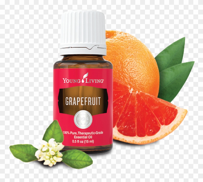 Why We Love Grapefruit Essential Oil - Grapefruit Young Living Png Clipart #1337063