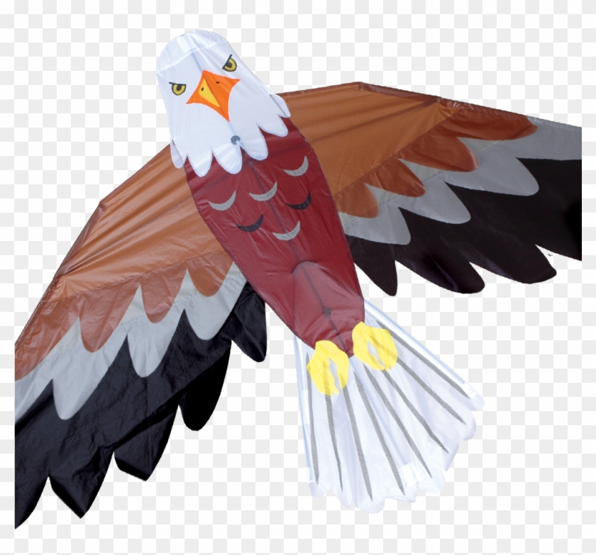Bald Eagle Clipart Kite Bird - Eagle Kites - Png Download