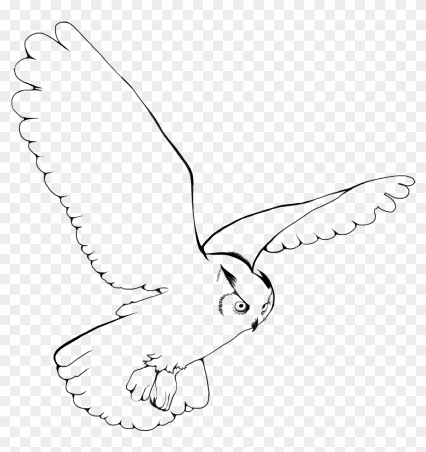 Banner Free Library Snowy Owl Bird Clip Art Transprent - Sketch - Png Download #1337653