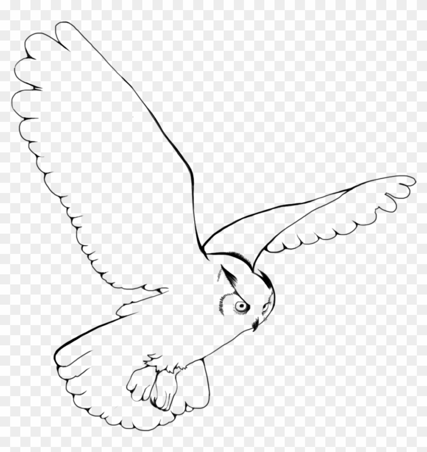 Banner Free Library Snowy Owl Bird Clip Art Transprent - Sketch - Png Download