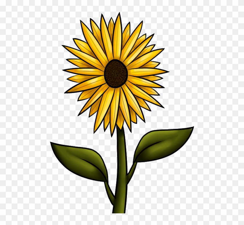 Sunflower Clipart Png - Fall Flowers Drawing Transparent Png #1337654