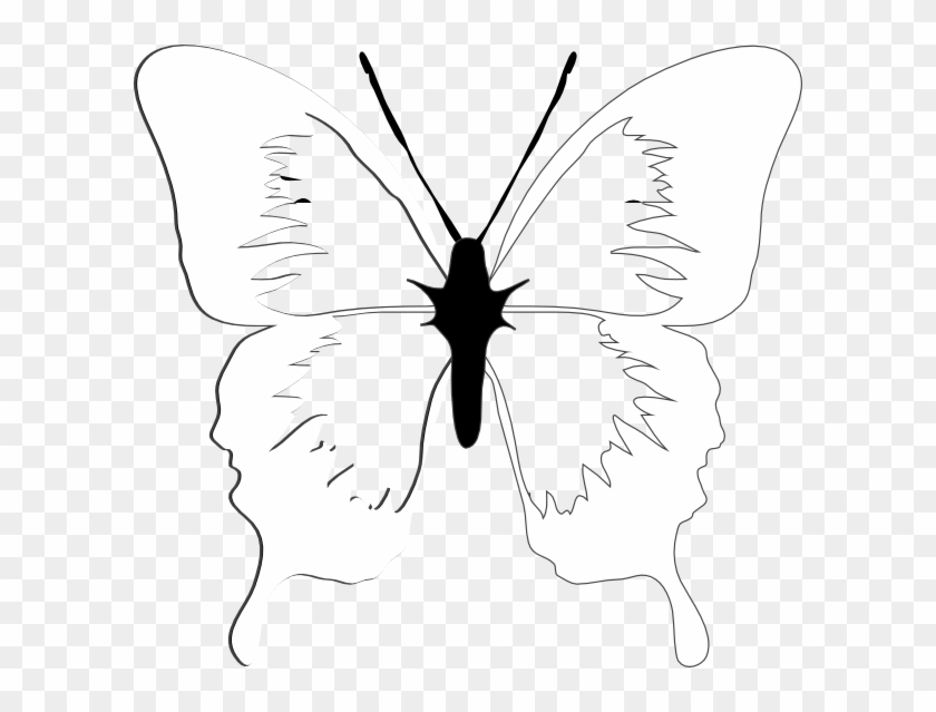 Butterfly Clipart #1340229