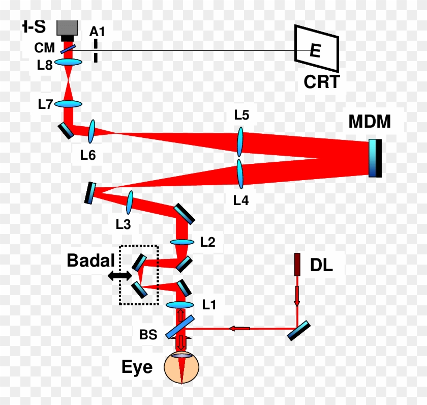 A Near Infrared Diode Laser Illuminates The Eye And - Adaptive Optics Eye Setup Clipart #1340230