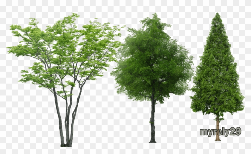 Arbolespost - Arboles Png Sin Fondo Clipart