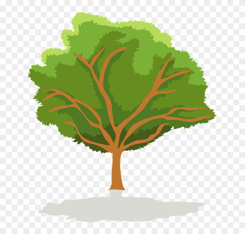 Arbol Vector Png - Vector Graphics Clipart