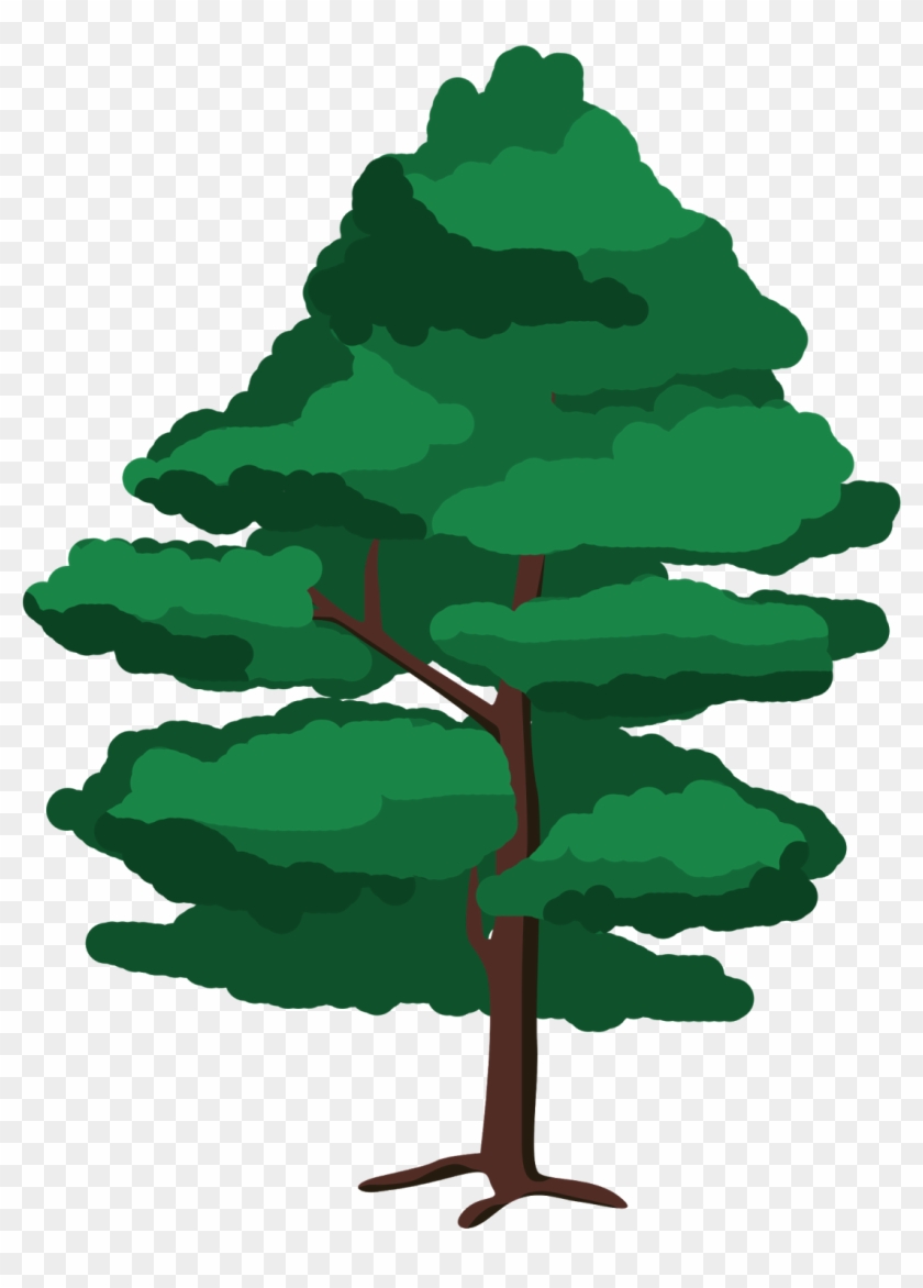 Ilustración Árbol - Especies De Arboles Que Protege El Inab Clipart #1341345