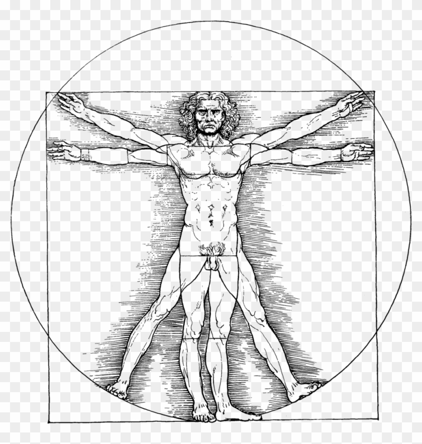 Vitruvianischer Mann - Leonardo Da Vinci Merchandise Clipart #1341689