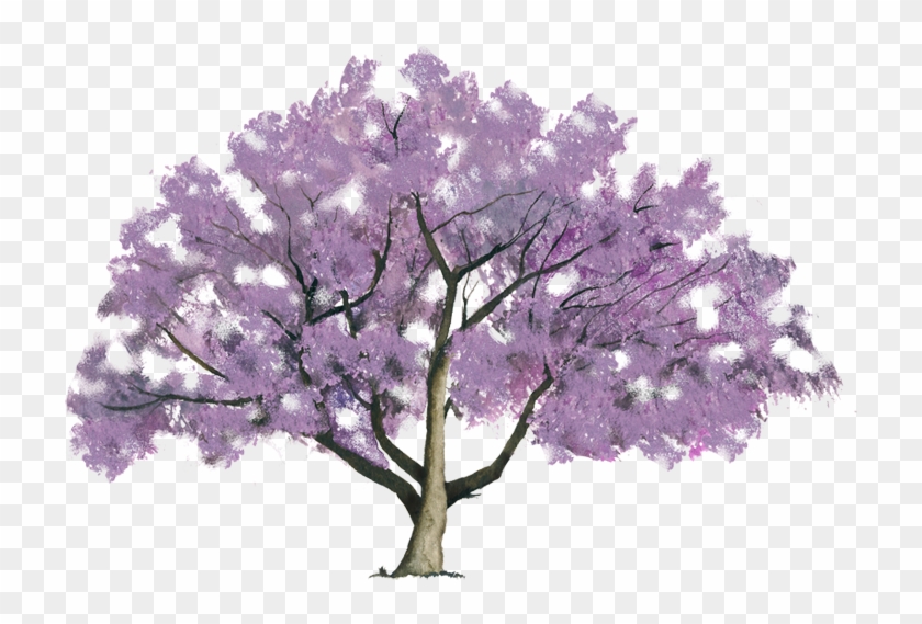 Like Share - Blue Jacaranda Clipart