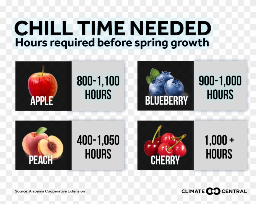 Jpg • Png - Natural Foods Clipart