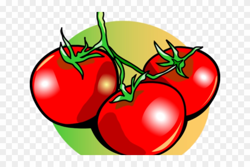 11 Tomato Clipart Vine Clip Art Free Clip Art Stock - Tomatoes Clipart - Png Download #1342281