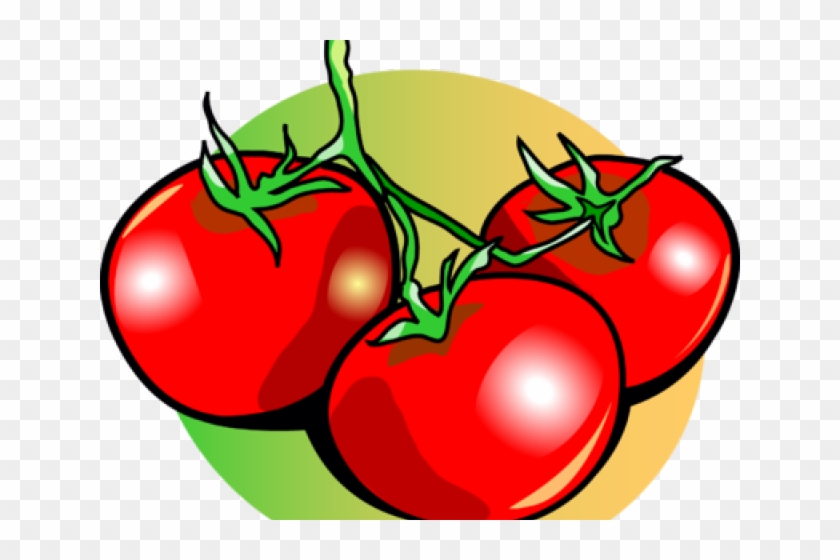 11 Tomato Clipart Vine Clip Art Free Clip Art Stock - Tomatoes Clipart - Png Download