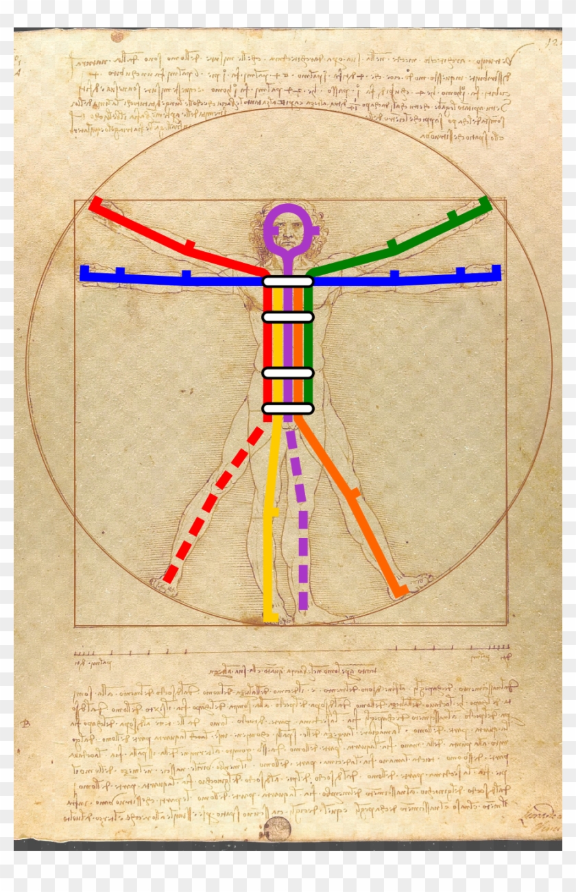 Vitruvian Transit - Leonardo Da Vinci Clipart