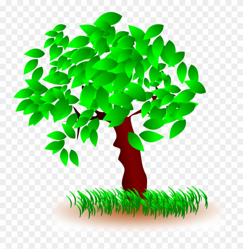 Pics Photos Tree Trees Arbol Arboles - Grass And Tree Clipart - Png Download #1342755