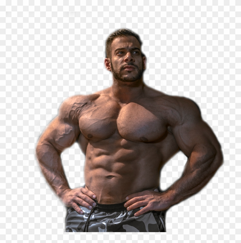 Bodybuilding , Png Download Clipart