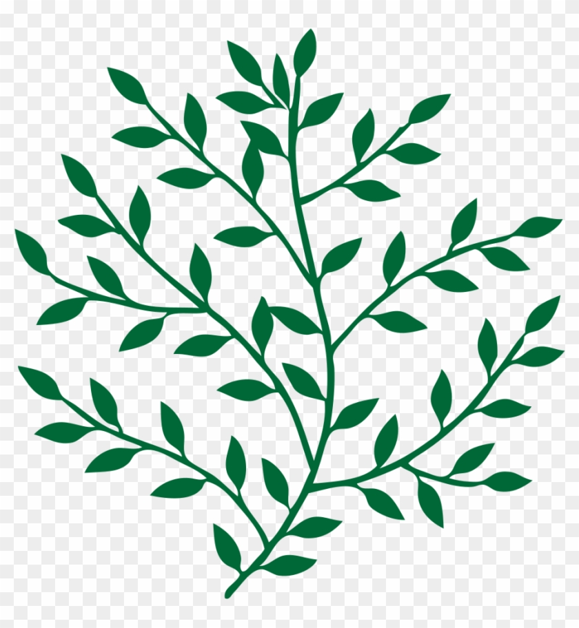 Leaf Branch Tree Bay Laurel Art - Branches And Leaves Png Clipart #1343115