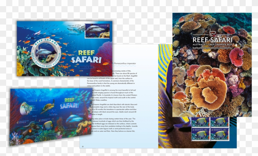 Selection Of Reef Safari Products Clipart #1343340