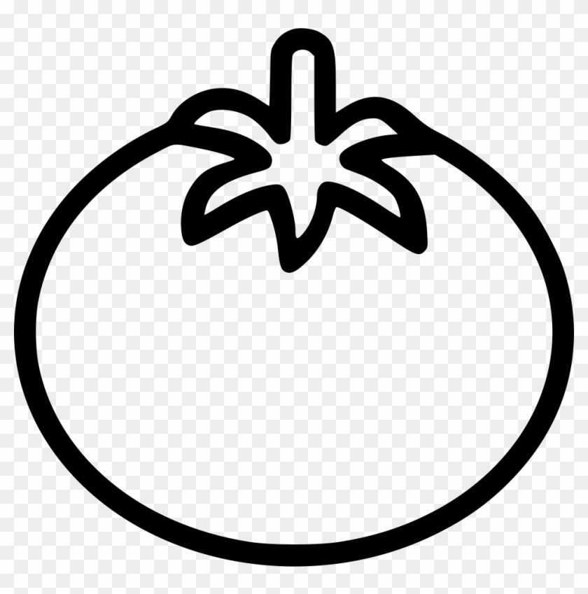 Png File - Circle Clipart #1343435