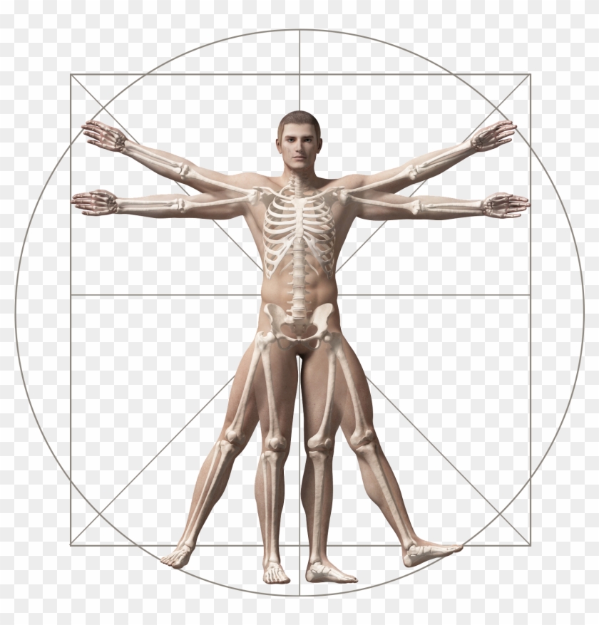 Where Does It Hurt - Vitruvian Man Clipart #1344200