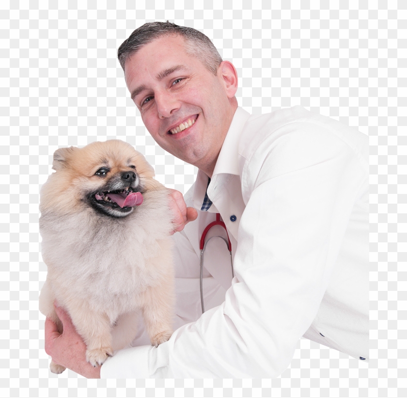 Daniel-hercules - German Spitz Mittel Clipart #1344733