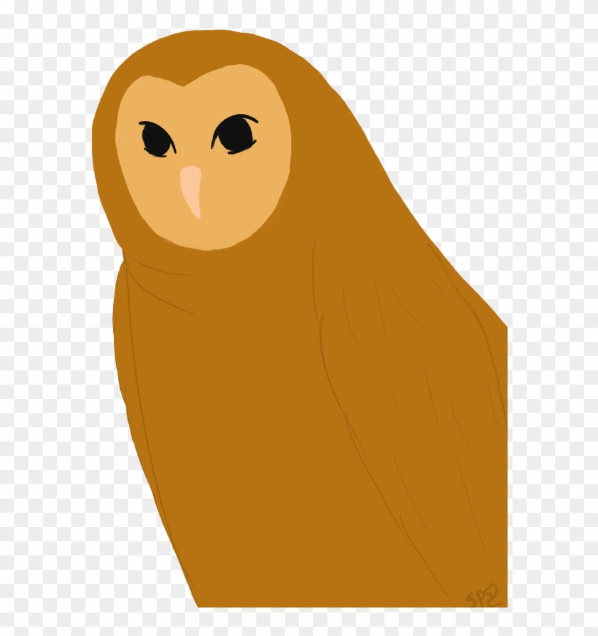 Ovo Owl Png - Barn Owl Clipart #1345659