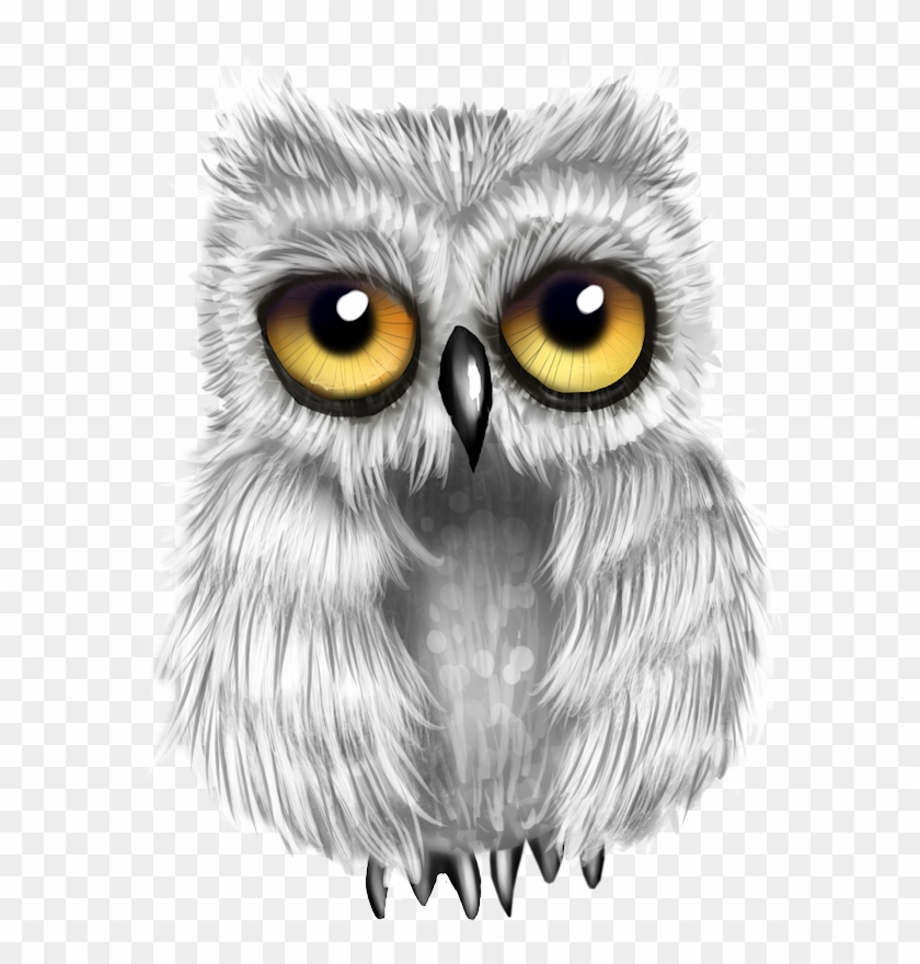 Image Du Blog Zezete2 Clipart