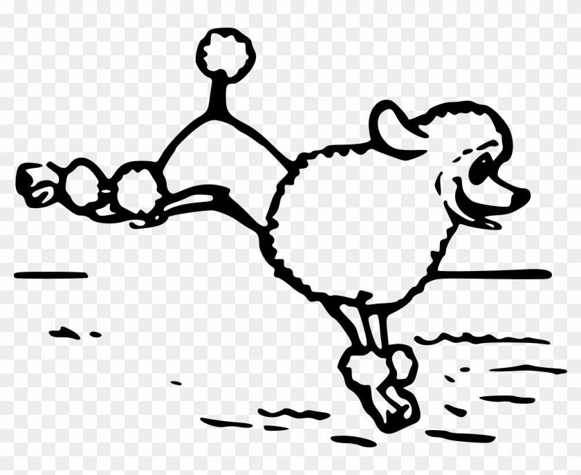 Medium Image - Clip Art - Png Download