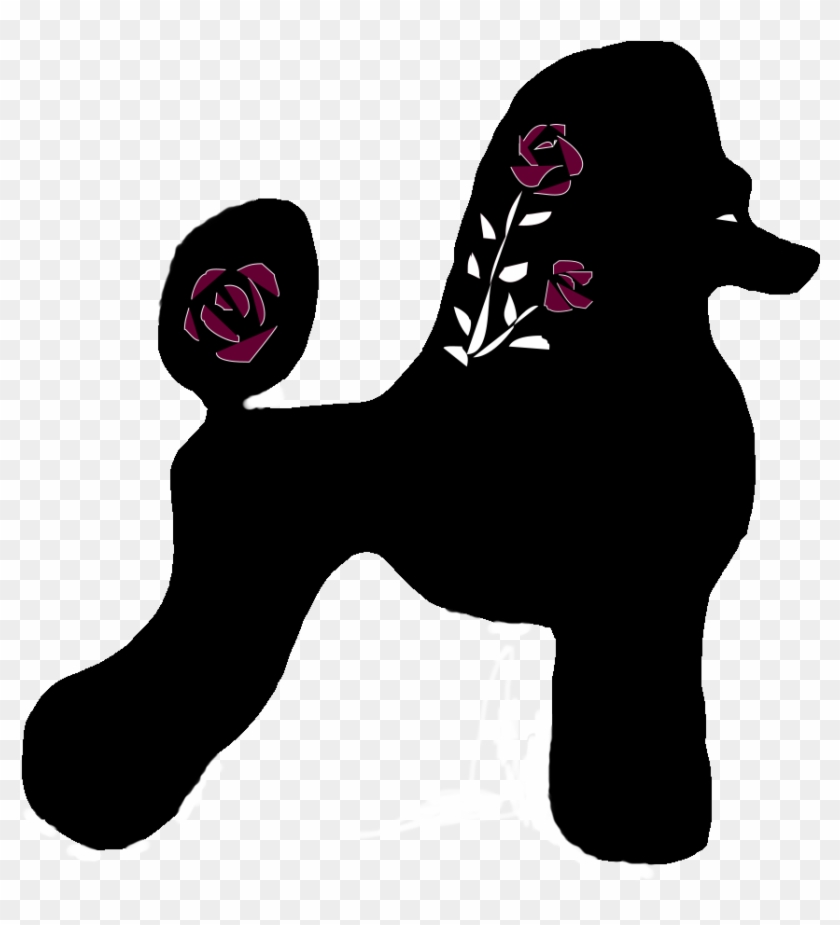 Rose City Standard Poodles Champion Solid And Multicolored - Standard Poodle Clipart