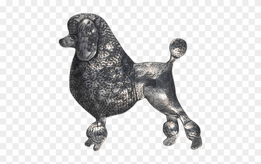 Standard Poodle Clipart #1346302