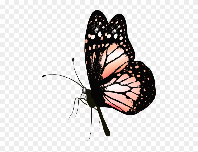 Gallery Butterflies Png - Clip Art Butterfly Realistic Transparent Png