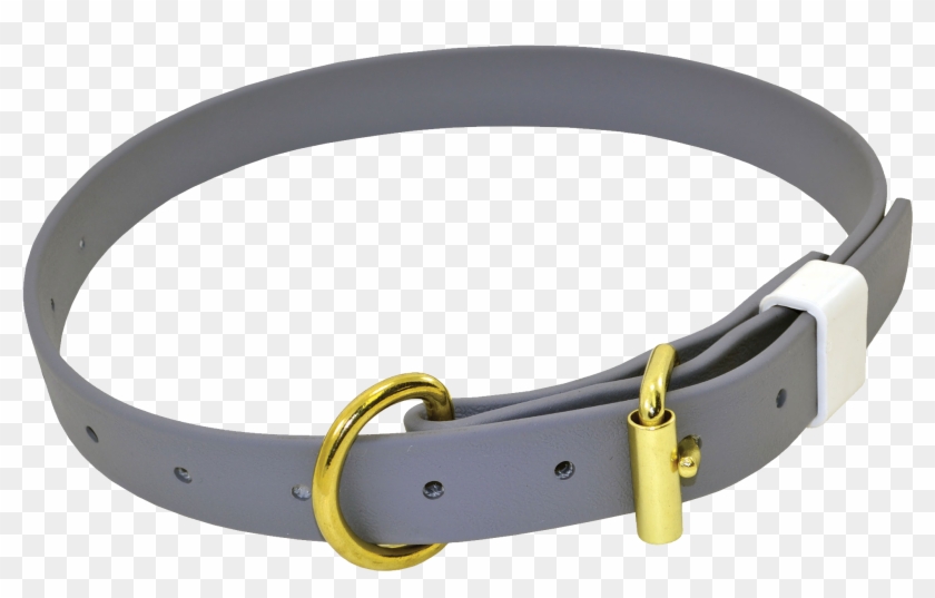 Dog Collar Png - Biothane Dog Collars Clipart #1347289