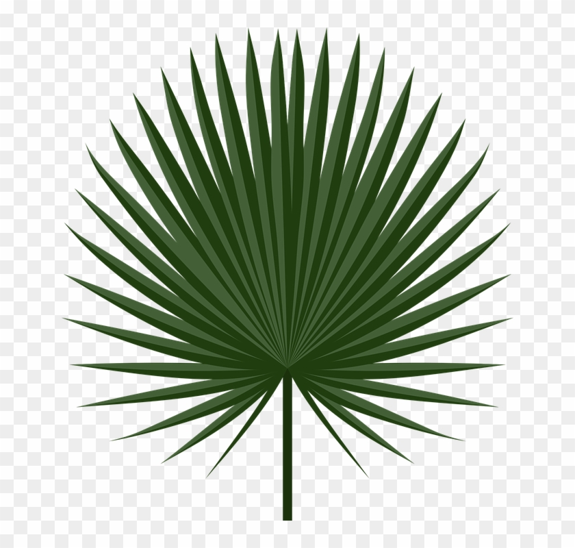 Download Download Free Palm Leaf Download, Transparent Background ...