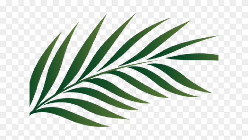 Tropics Clipart Palm Frond - Transparent Palm Leaves - Png Download #1347958