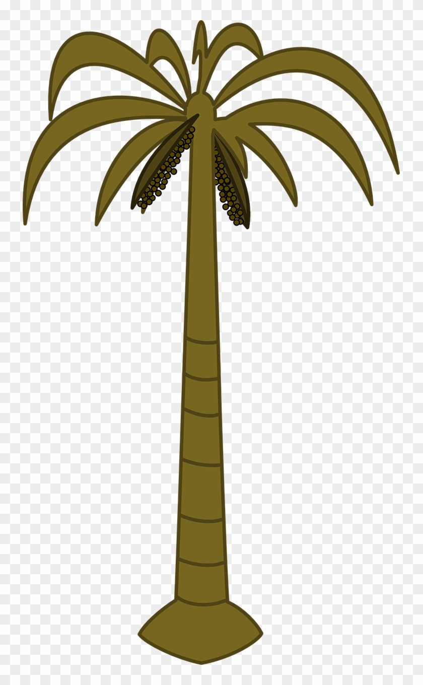 Palm Tree Clip Art - Png Download