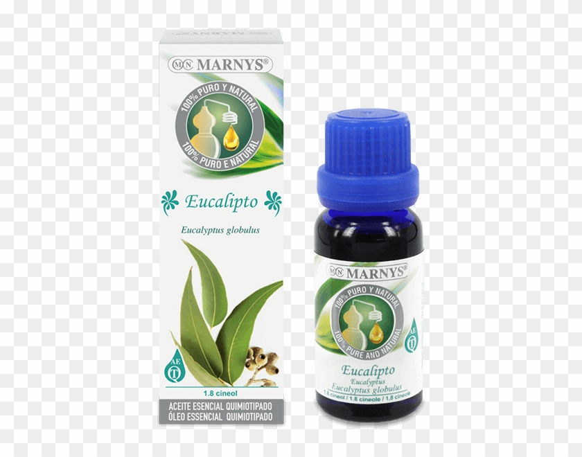 Eucalyptus Essential Oil - Aceite De Anis Estrellado Para Las Arrugas Clipart