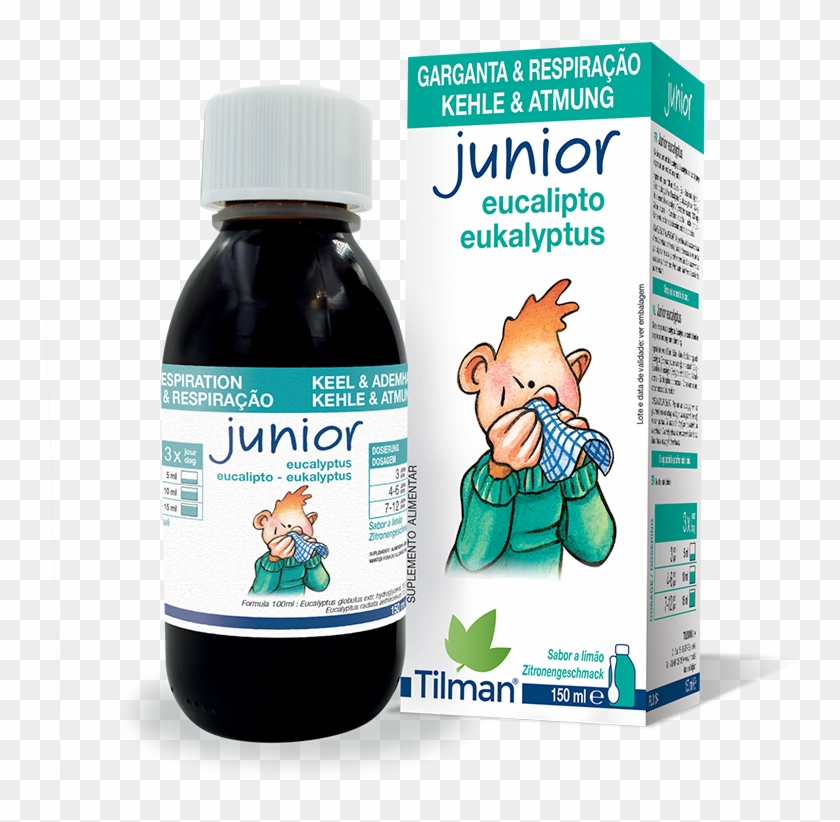 Junior Eucalyptus - Echinacea Junior Eucalyptus Tilman Clipart #1348671