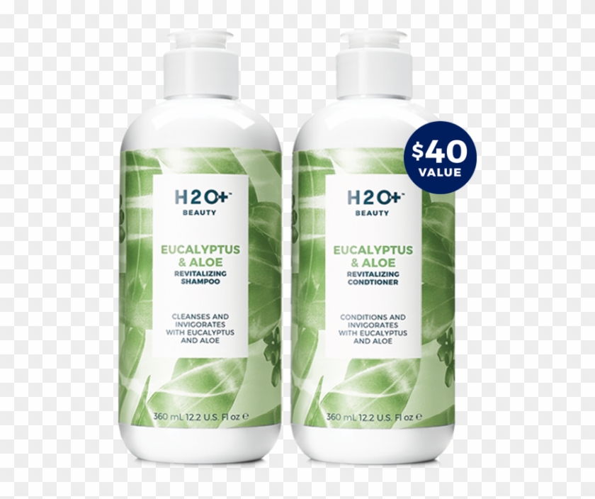 Hair Flips Encouraged - H2o Eucalyptus Clipart