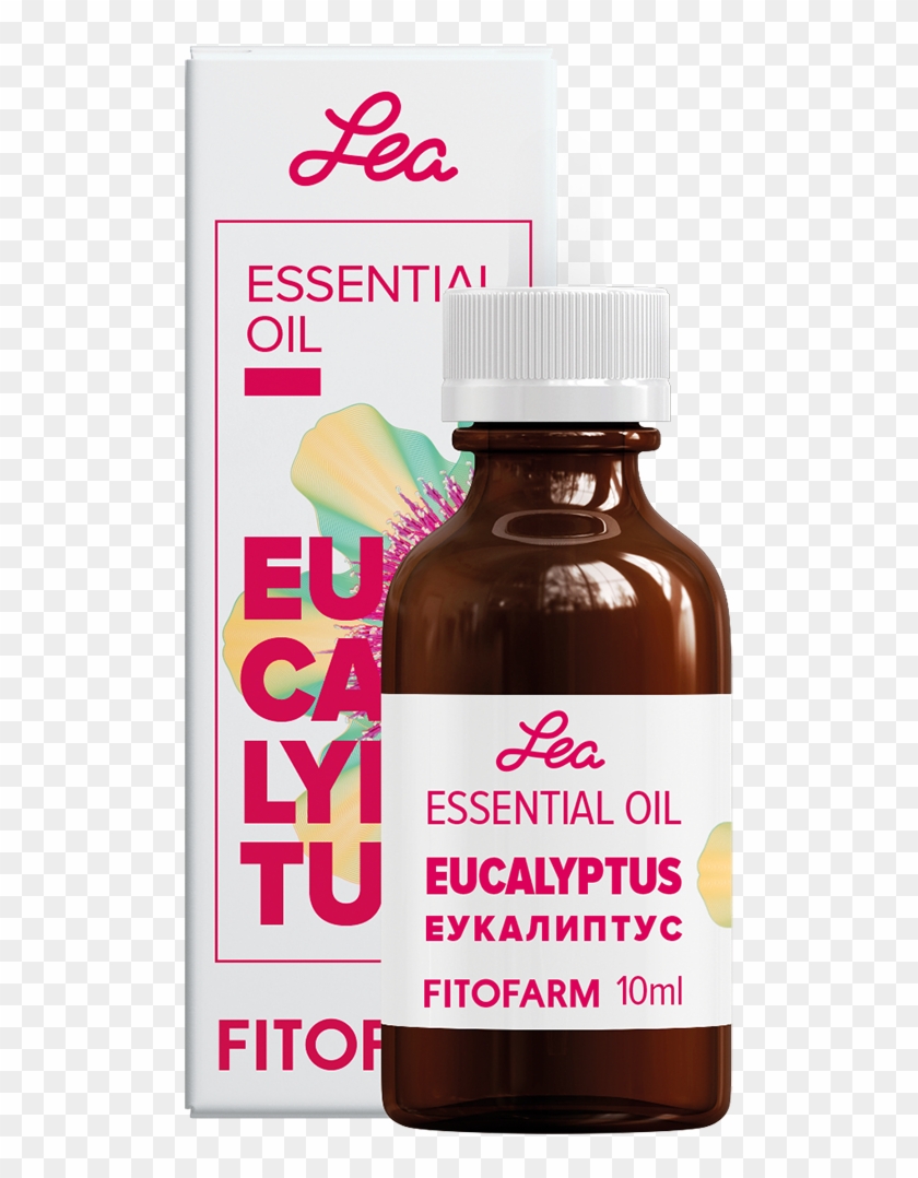 Eucalyptus - Glass Bottle Clipart #1349122