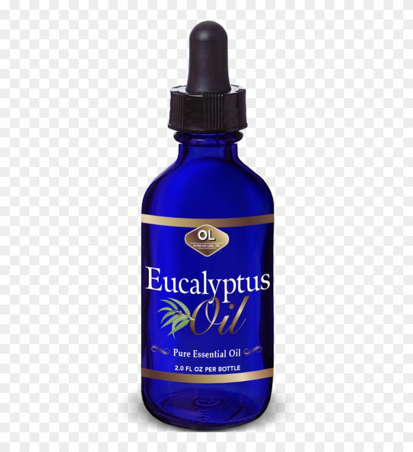 Bottle Clipart #1349411